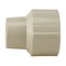 Apollo 1/2 in. x 1/2 in. CPVC CTS x FNPT Solvent Weld Adapter (10-Pack), 10PK CPVCFA12W10PK - alternate 1
